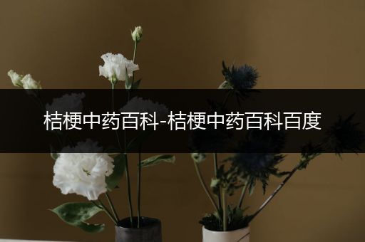 桔梗中药百科-桔梗中药百科百度