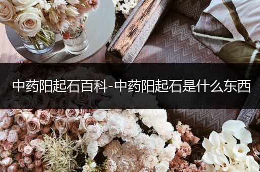 中药阳起石百科-中药阳起石是什么东西