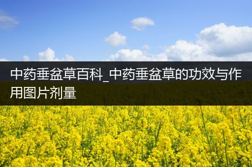 中药垂盆草百科_中药垂盆草的功效与作用图片剂量