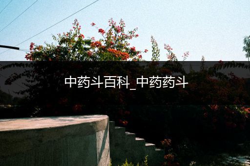 中药斗百科_中药药斗