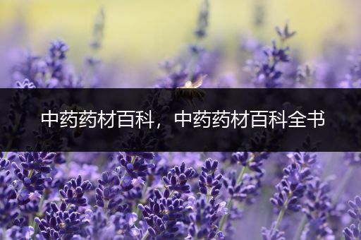 中药药材百科，中药药材百科全书