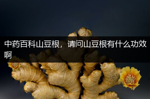 中药百科山豆根，请问山豆根有什么功效啊