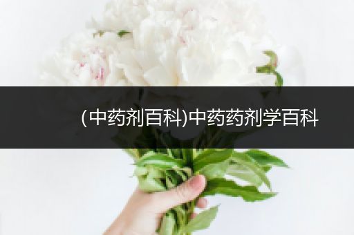 （中药剂百科)中药药剂学百科