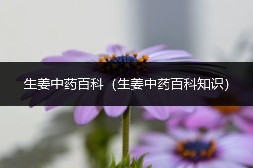 生姜中药百科（生姜中药百科知识）