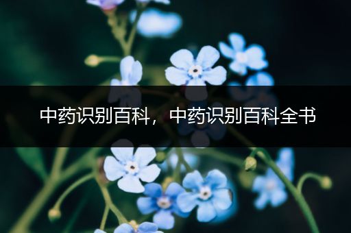 中药识别百科，中药识别百科全书