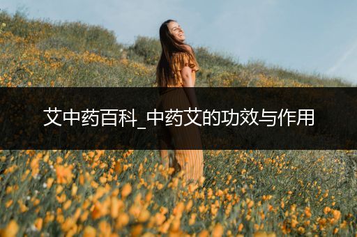 艾中药百科_中药艾的功效与作用