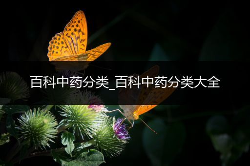 百科中药分类_百科中药分类大全