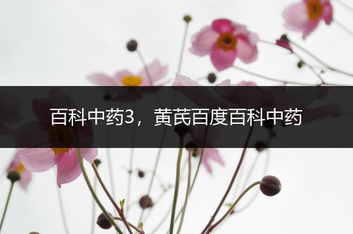 百科中药3，黄芪百度百科中药