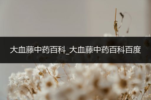 大血藤中药百科_大血藤中药百科百度