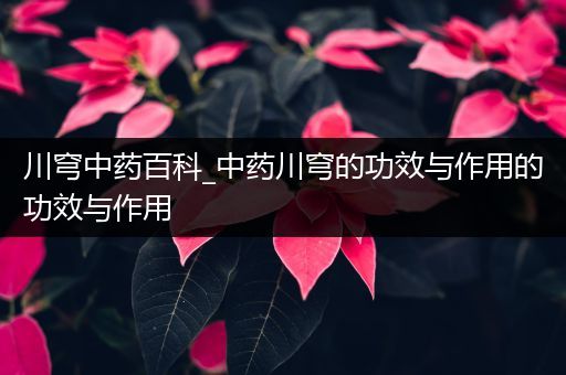 川穹中药百科_中药川穹的功效与作用的功效与作用