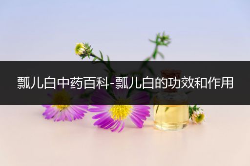 瓢儿白中药百科-瓢儿白的功效和作用