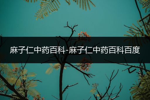 麻子仁中药百科-麻子仁中药百科百度