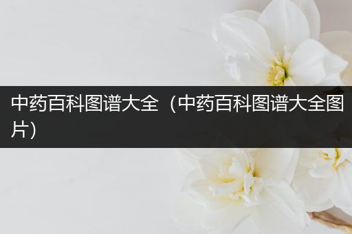 中药百科图谱大全（中药百科图谱大全图片）