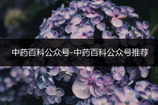 中药百科公众号-中药百科公众号推荐