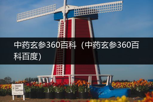 中药玄参360百科（中药玄参360百科百度）