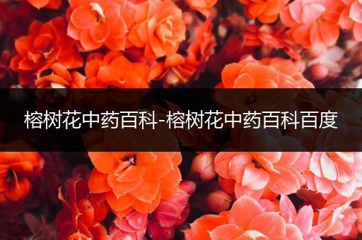 榕树花中药百科-榕树花中药百科百度