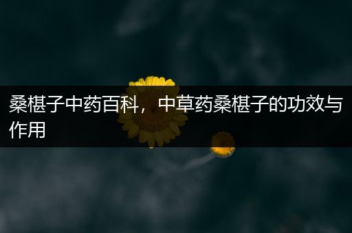 桑椹子中药百科，中草药桑椹子的功效与作用