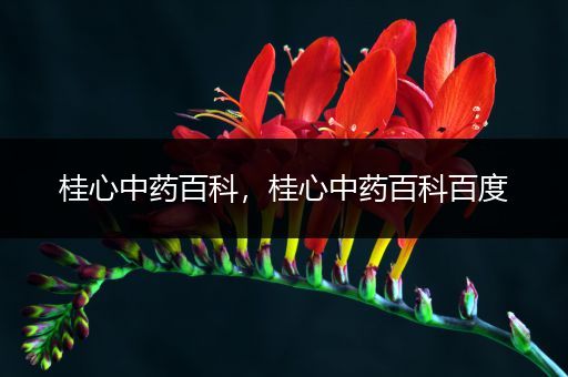 桂心中药百科，桂心中药百科百度