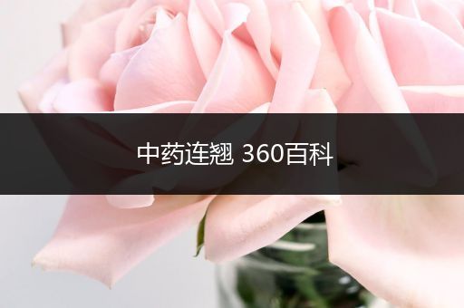 中药连翘 360百科