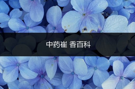 中药崔 香百科