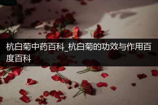 杭白菊中药百科_杭白菊的功效与作用百度百科