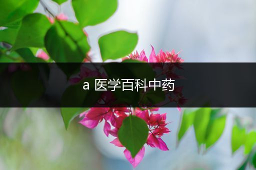 a 医学百科中药