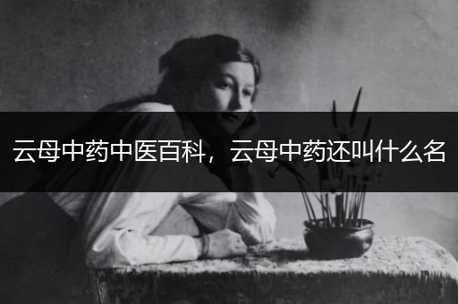 云母中药中医百科，云母中药还叫什么名