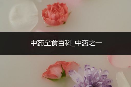 中药至食百科_中药之一