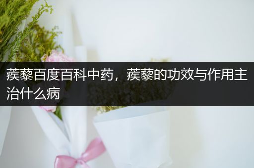 蒺藜百度百科中药，蒺藜的功效与作用主治什么病