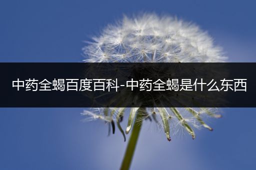 中药全蝎百度百科-中药全蝎是什么东西