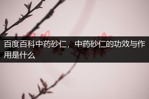 百度百科中药砂仁，中药砂仁的功效与作用是什么