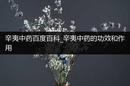 辛夷中药百度百科_辛夷中药的功效和作用