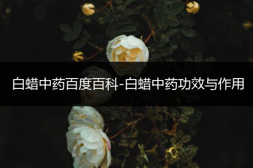 白蜡中药百度百科-白蜡中药功效与作用