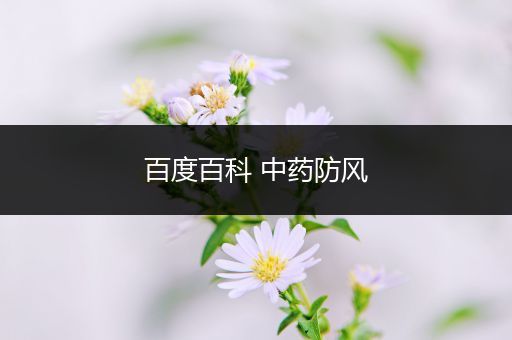 百度百科 中药防风