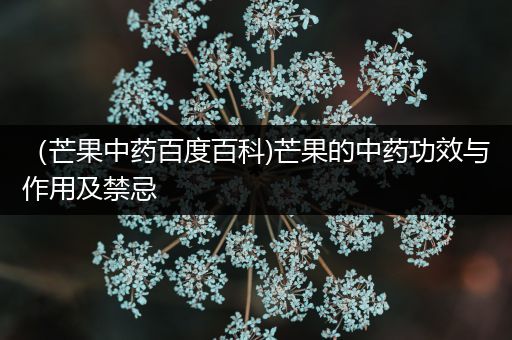 （芒果中药百度百科)芒果的中药功效与作用及禁忌